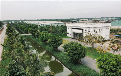 Chủ tịch Công ty Sài Gòn Xanh: Hành xử với môi trường là hành xử với con người